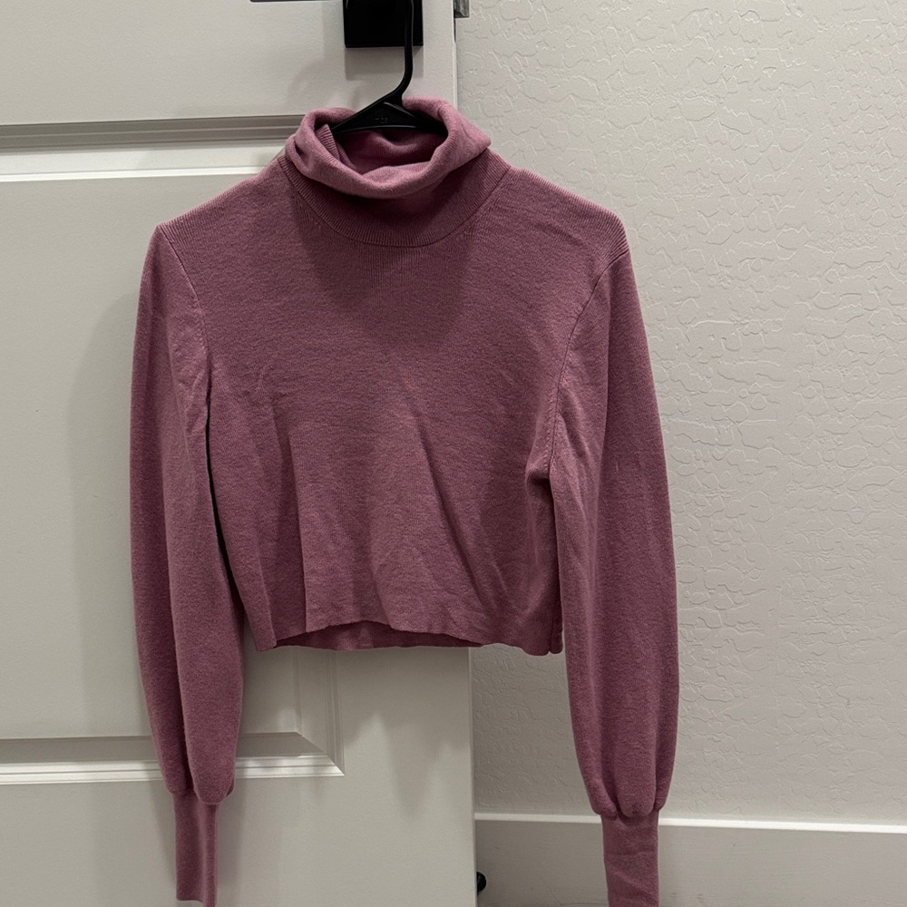 Aritzia Wilfred merino wool Rebecca turtleneck